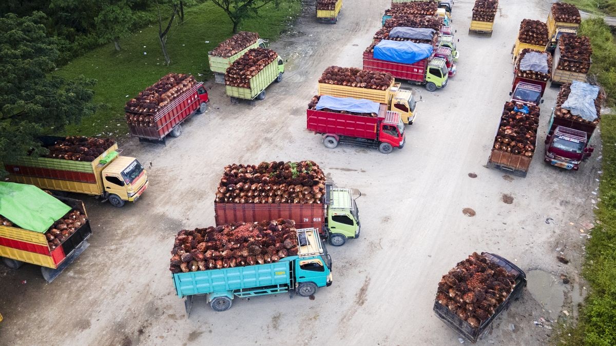 Kadin Dorong Wajib Truk Kompaktor Listrik PSEL Pertumbuhan Ekonomi
